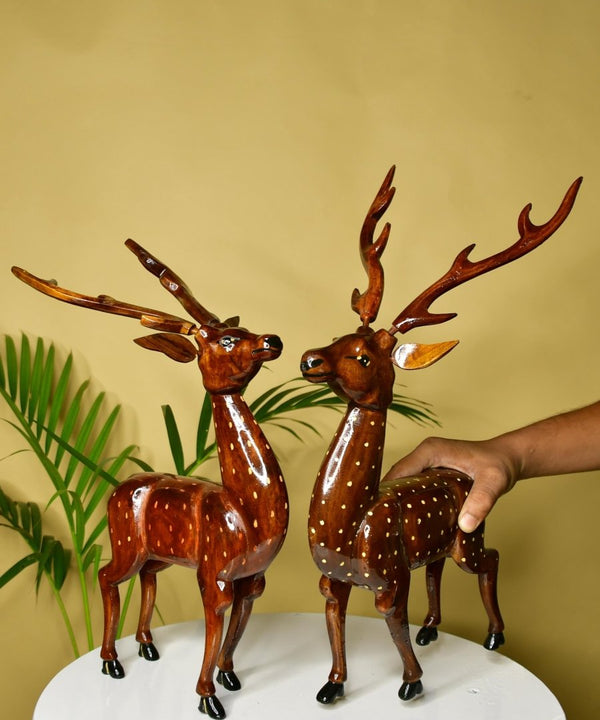 सबसे प्यारी लकड़ी — image 5