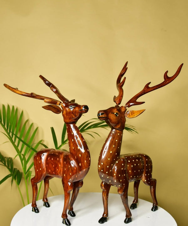 सबसे प्यारी लकड़ी — image 2
