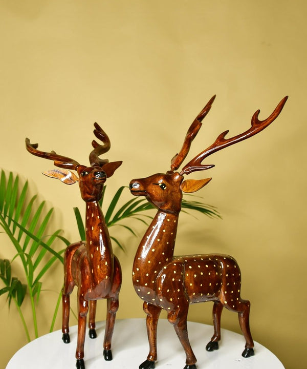 सबसे प्यारी लकड़ी — image 3