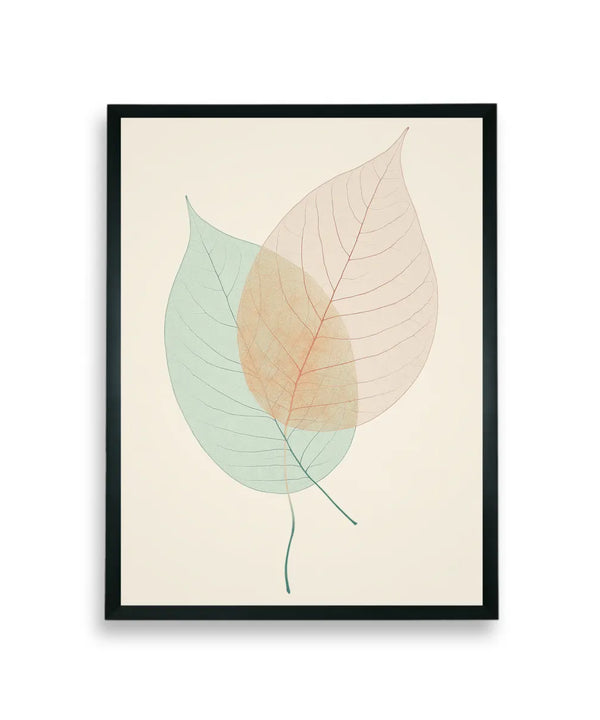 Chitran Delicate Leaf Duo — image 7