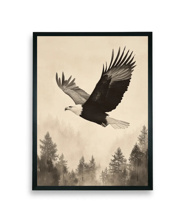 Chitran Eagle Soaring — image 7