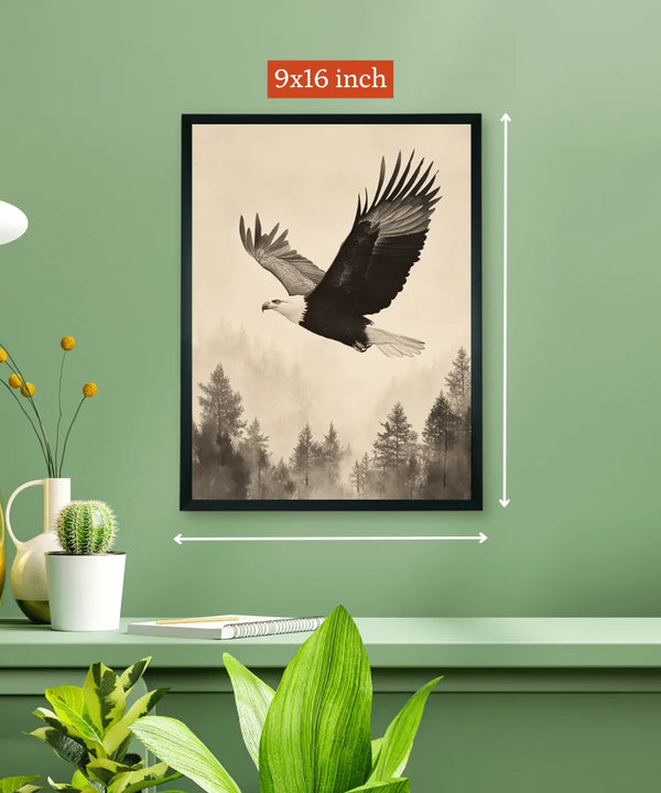 Chitran Eagle Soaring — image 5