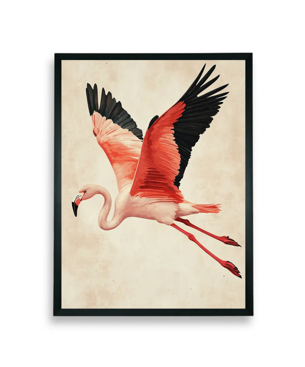 Chitran Flamingo Flight — image 7
