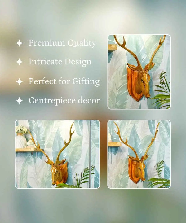 Sowpeace Majestic Deer Head: Hand-Carved Grandeur for Your Home — image 3