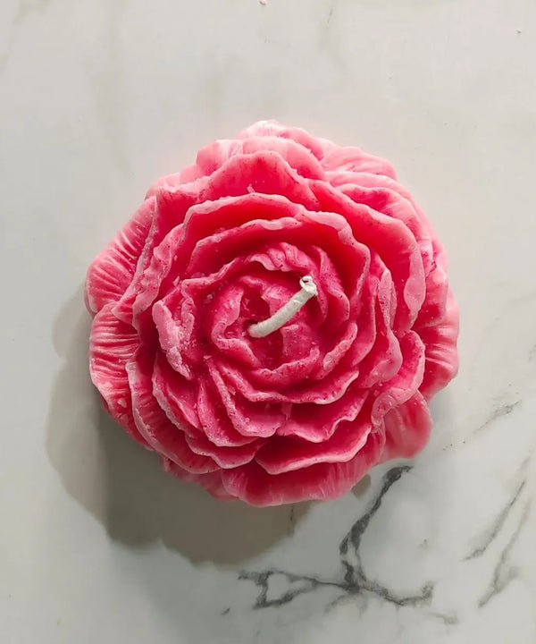Sowpeace Red Rose Soywax Candle Set of 2 – Hand-Poured, Vegan, Unscented Decorative Gift — main view
