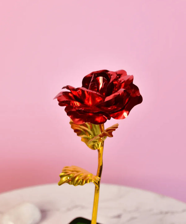 Sowpeace Scarlet Love Candle | Red Heart Soy Wax Candle for Romantic Décor & Gifting — image 5