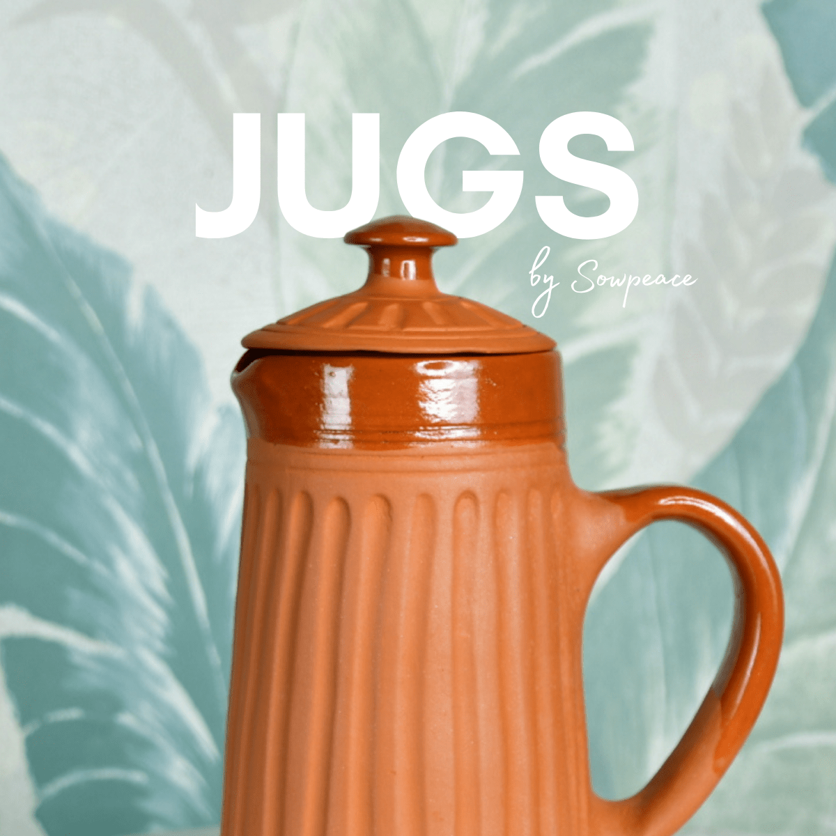 Jugs - Sowpeace