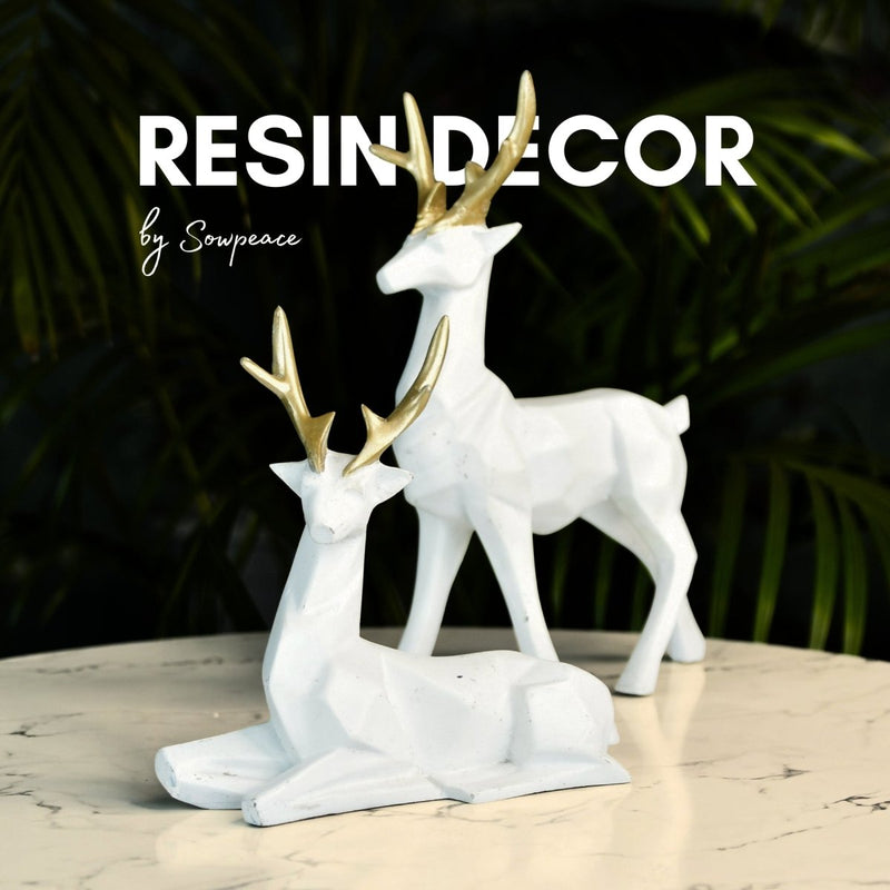 Modern Decor