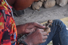 Artform Illustration