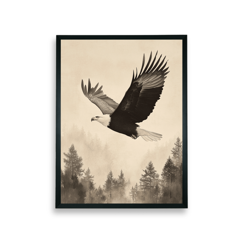 Chitran Eagle Soaring – view 7
