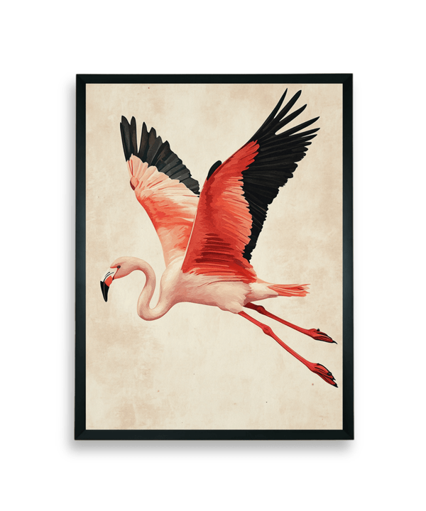Chitran Flamingo Flight — image 7