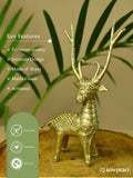 Dhokra Deer Brass Tabletop - Sowpeace - Dhokra Deer Brass Tabletop - Dok - DDST - BR - TT - Sowpeace