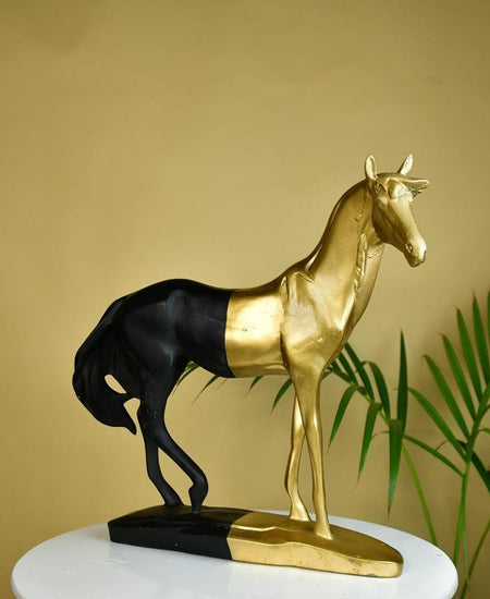 Sowpeace Black Gold Stallion