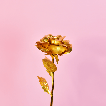 Sowpeace Golden Love Decorative Piece | Elegant Gold Home Décor & Romantic Gift Item. - Sowpeace - 