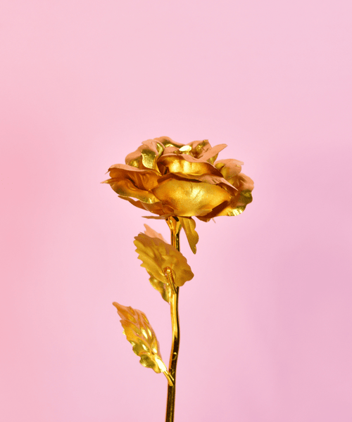 Sowpeace Golden Love Decorative Piece | Elegant Gold Home Décor & Romantic Gift Item.