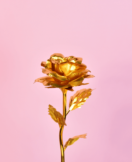 Sowpeace Golden Love Decorative Piece | Elegant Gold Home Décor & Romantic Gift Item.