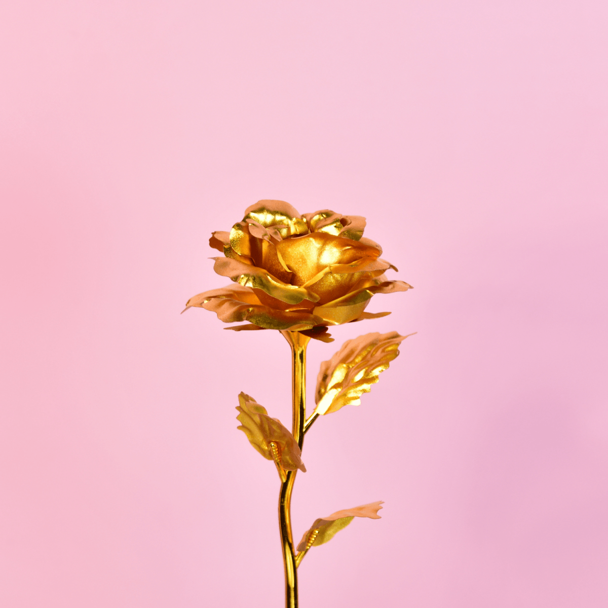 Sowpeace Golden Love Decorative Piece | Elegant Gold Home Décor & Romantic Gift Item. - Sowpeace - 