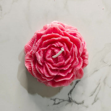 Sowpeace Red Rose Soywax Candle Set of 2 – Hand - Poured, Vegan, Unscented Decorative Gift - Sowpeace - 