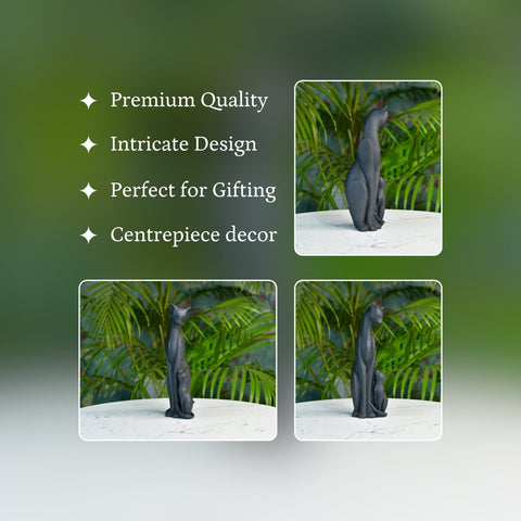 Artform Illustration