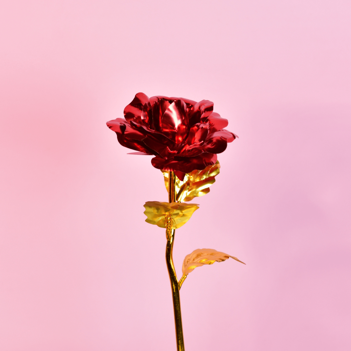 Sowpeace Scarlet Love Candle | Red Heart Soy Wax Candle for Romantic Décor & Gifting