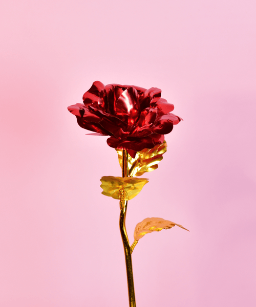 Sowpeace Scarlet Love Candle | Red Heart Soy Wax Candle for Romantic Décor & Gifting