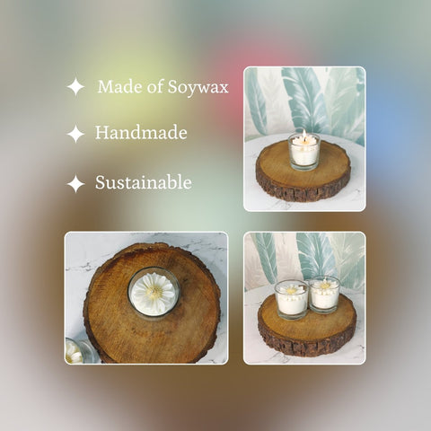 Vastu Principles for Sowpeace Soywax Flower Candle Set of 2 in Glass – Hand-Poured, Vegan, Unscented Decorative Gift