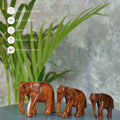 Sowpeace Wooden Descending Elephant Set of 3: Artisan Tabletop Decor - Tabletop - Sowpeace - Animal - New Arrivals